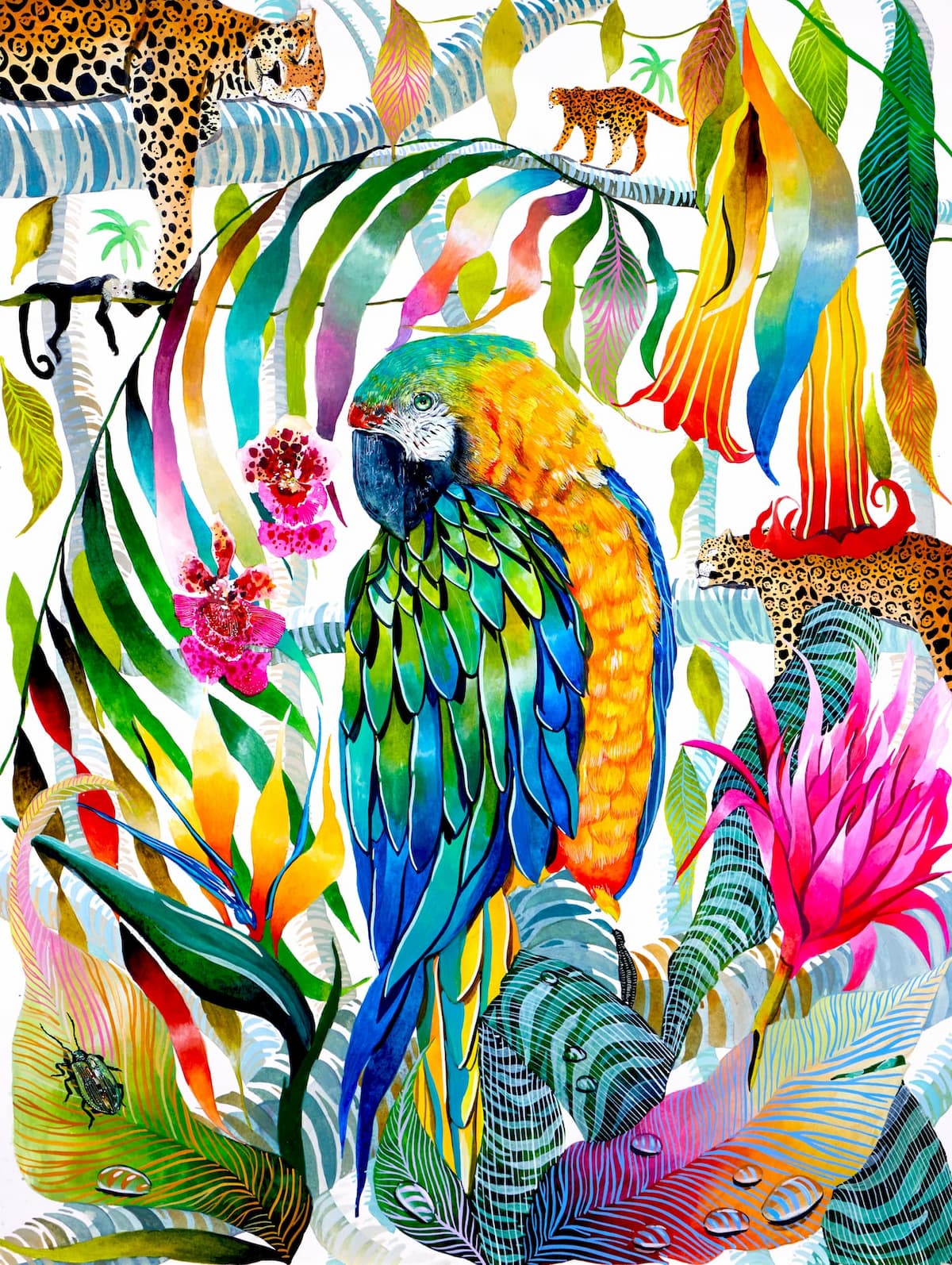 モーガン マッセン／wtw Morgan／ACRYL ART BIRD／A4 1511100035407_surf_10.jpg