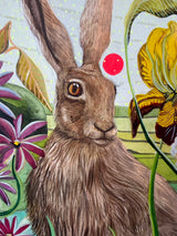 Tortoise and the Hare