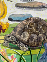Tortoise and the Hare