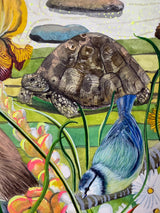 Tortoise and the Hare
