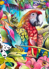 Costa Rican Carnival - Limited Edition Print