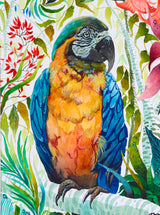 Blue and Gold Macaw - Original Artwork