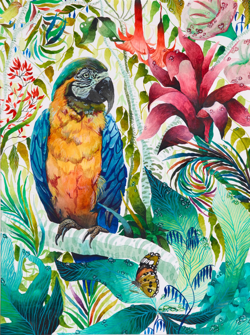 Blue and Gold Macaw - Original Artwork